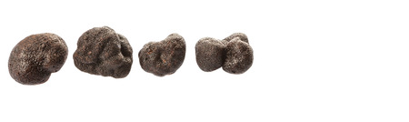 Black truffle mushroom over white backgroundの写真素材