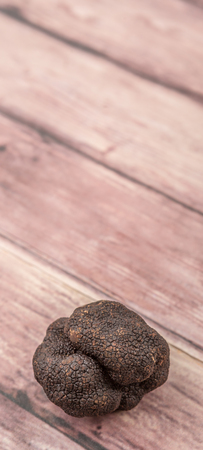 Black truffle mushroom over wooden background