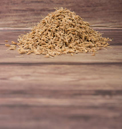 Dried anise seed or aniseed over wooden backgroundの写真素材