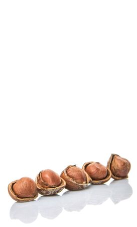 Hazelnuts on white backgroundの写真素材