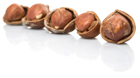 Hazelnuts on white backgroundの写真素材