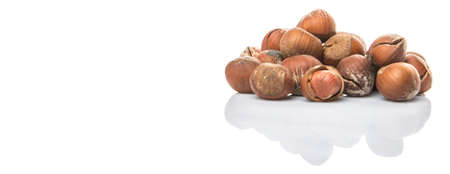 Hazelnuts on white background