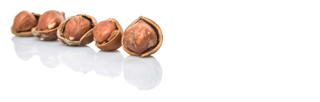 Hazelnuts on white backgroundの写真素材