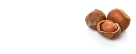 Hazelnuts on white backgroundの写真素材