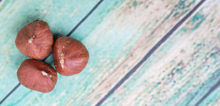 Peeled hazelnut nut over wooden backgroundの写真素材