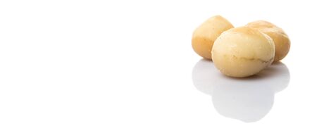 Peeled macadamia nut over white backgroundの写真素材