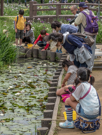 ITAKO, IBARAKI, JAPAN - JUNE 4TH 2016l. Locals and tourists during the annual Suigo Itako Iris Flower Festival.のeditorial素材