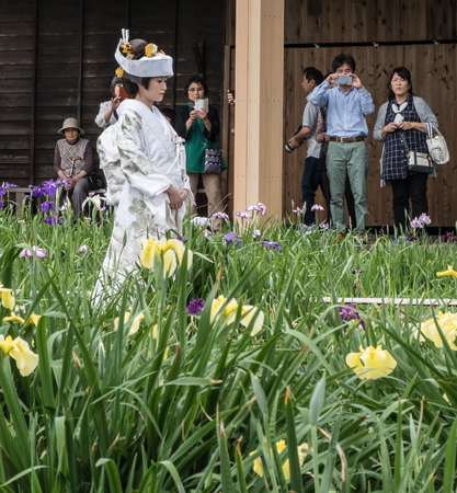 ITAKO, IBARAKI, JAPAN - JUNE 4TH 2016. Japanese bride in traditional costume during the annual Suigo Itako Iris Flower Festival.のeditorial素材
