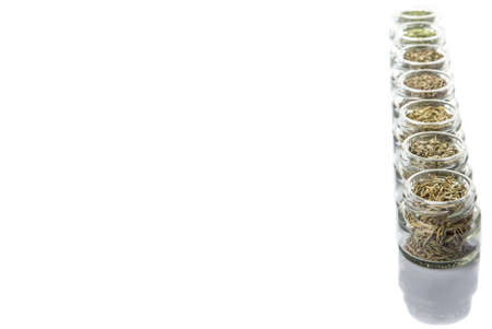 Dried parsley, estragon, marjoram, dill weed, thyme, rosemary and basil herbs in mason jar over white backgroundの写真素材