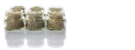 Dried parsley, estragon, marjoram, dill weed, thyme, rosemary and basil herbs in mason jar over white backgroundの写真素材