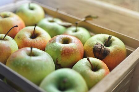 Juicy ripe apples. Red-green apples are neatly stacked in a row. Fruits in a wooden box.の写真素材
