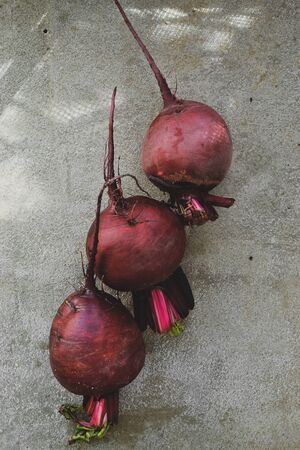 Summer harvest. Beets on a concrete background. Beetroot Top view. Free space for text. healthy...