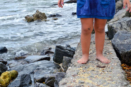 A cute girl in a blue dress collects pebbles on the beach. A child playing near the seaの写真素材