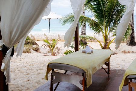 A tranquil beachfront massage setup features two massage tables under a canopy, surrounded by palm trees and the ocean in Boracay. Soft linens sway in the ocean breeze, creating a serene escape.の写真素材