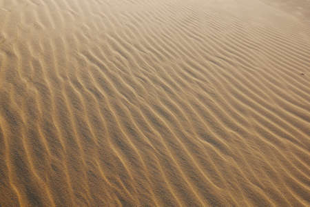 Sand dune texture on the desert