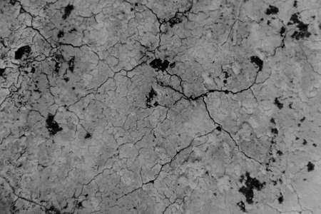 textureの写真素材