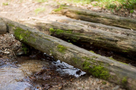 over the waterの写真素材