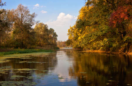 autumn landscape fnd river