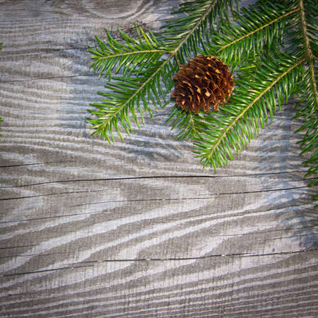 Christmas Background. Spruce branches with cones and texture of old wood frame Christmas background...