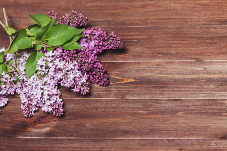 beautiful lilac on a wooden background. Branches of lilac on a dark background. Spring flowers. Vintage wood texture. Free space for text placementの写真素材