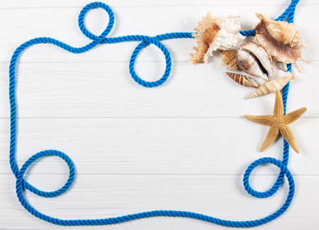 Beautiful sea background. Shells on a light wooden background. Old boards, empty space for your text.の写真素材