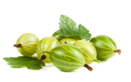 Berries of gooseberry closeup. Ripe juicy sweet berries with green leaf on a white backgroundの写真素材