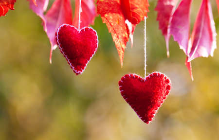 red felt hearts hanging on strings. Beautiful wedding background. Valentinesの写真素材