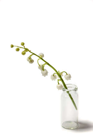 Lily of the valley branch in a glass bottle.