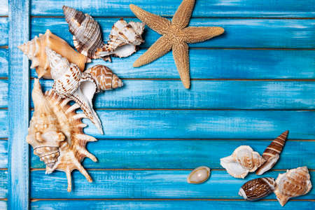 beautiful summer background with sea shells and starfish on blue wooden boards . flat la?