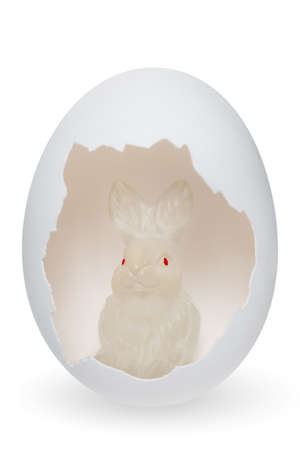 White little toy rabbit sitting in an eggshell on a white background. Minimalism