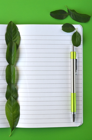 Top view of notebook page with copy space, cucumber slices in a glass vial and fresh leaves on lime green background - flat layoutの写真素材