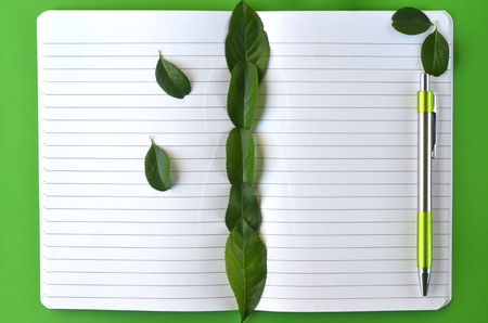Top view of notebook page with copy space, cucumber slices in a glass vial and fresh leaves on lime green background - flat layoutの写真素材