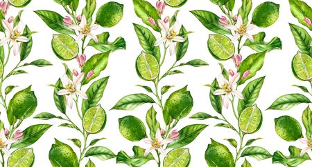 Lime fruit seamless pattern watercolor tree branch with flowers realistic botanical floral surface...