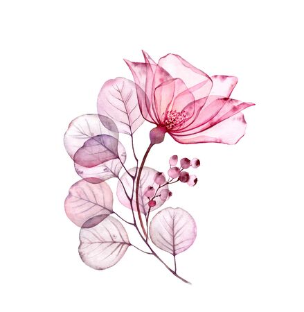 Transparent floral set isolated arrangement of big pink rose flower, berries, leaves, branches in pastel grey, violet, purple, vintage ornament, wedding design, stationery card printの写真素材