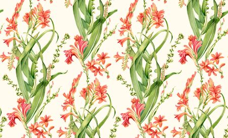 Watercolor seamless pattern. Crocosmia flowers in bloom. Classical vintage floral design on beige background. Botanical floral illustration for wrapping paper, textile, wallpaperの写真素材