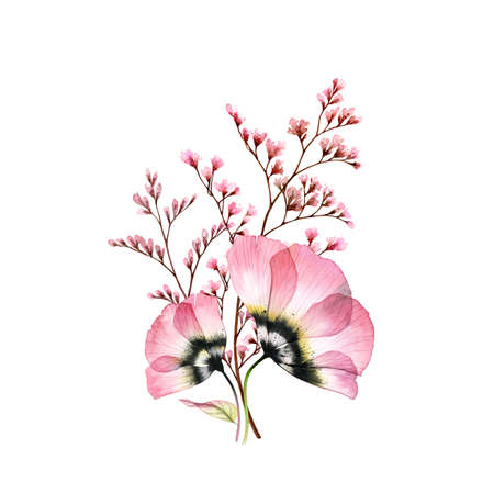 Watercolor bouquet. Transparent pink anemones with delicate branches isolated on white. Hand painted vintage artwork. Botanical illustration for cards, wedding designの写真素材