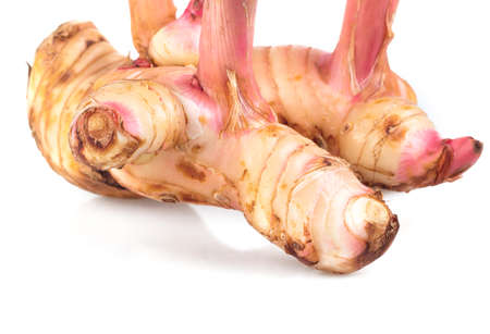 galangal on white backgroundの写真素材