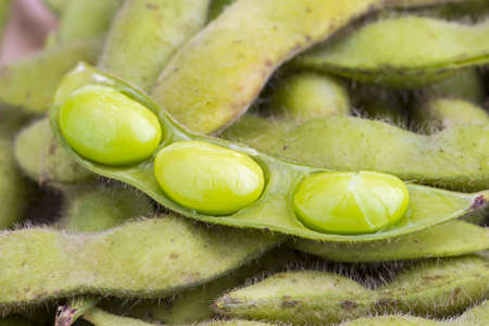 Green soybean (Vegetable soybean) boiled