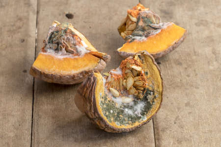 Moldy pumpkin on the wooden tableの写真素材