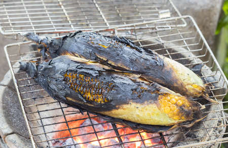 Corn cobs grilling on a grate plate using red hot charcoal with burned peelの写真素材