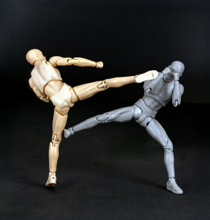 Attacker kicks toward the chin. Defender turns away and counters with a left push kick to the attackerâs standing leg.の写真素材