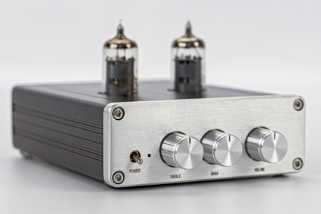 A vintage tube audio amplifier front view silver metal case two vacuum tubes three control knobs for treble bass volume power switch retro style isolated on white backgroundの写真素材