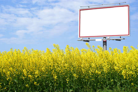 Blank white billboard with space for your advertisement  in yellow oilseed rape and the blue sky