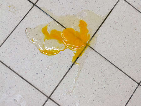 Broken egg on the tile kitchen floor. Accident in the kitchen.の写真素材