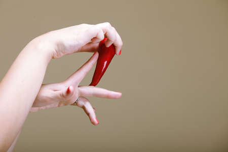 chili pepper in female hand  brown backgroundの写真素材