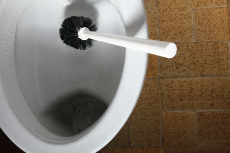 cleaning a toilet bowl with brush. Clean up your house.