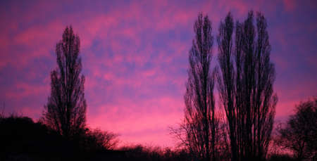 dramatic pink  purple sky and trees sunset or sunriseの写真素材