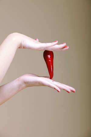 chili pepper in female hand  brown backgroundの写真素材