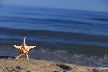 Starfish in the beach sand at ocean background. Summer vacation symbolの写真素材