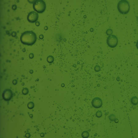 Green abstract blurred liquid background with soap bubbles. Square formatの写真素材